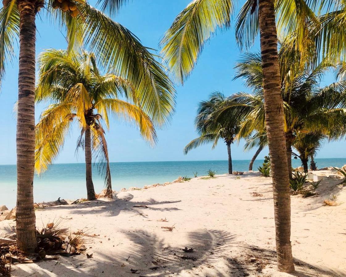 Corazon Mexicano Holbox Exterior photo